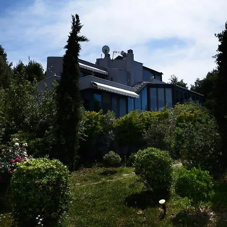 Halkidiki Luxury Villas * Палиури