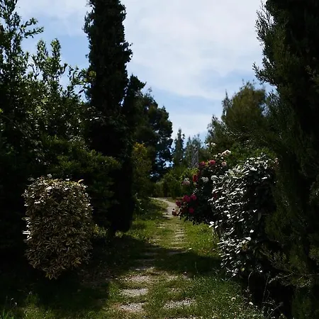 Вилла Halkidiki Luxury Villas