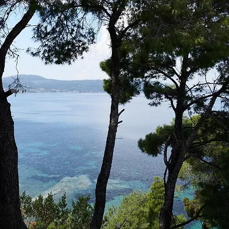 Вилла Halkidiki Luxury Villas Палиури